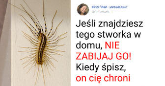 8 zwierząt, które ratują planetę (i nas!)