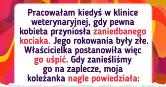 Chory kociak został porzucony w klinice weterynaryjnej, ale los miał wobec niego inne plany