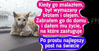 16 zwierzaków, które rozkwitły dzięki miłości swoich opiekunów
