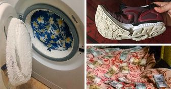 24 osoby, które zrobiły pranie, ale nie wszystko poszło zgodnie z planem