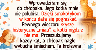 20 dowodów na to, że to zwierzaki rządzą, a właściciele dają się przechytrzyć