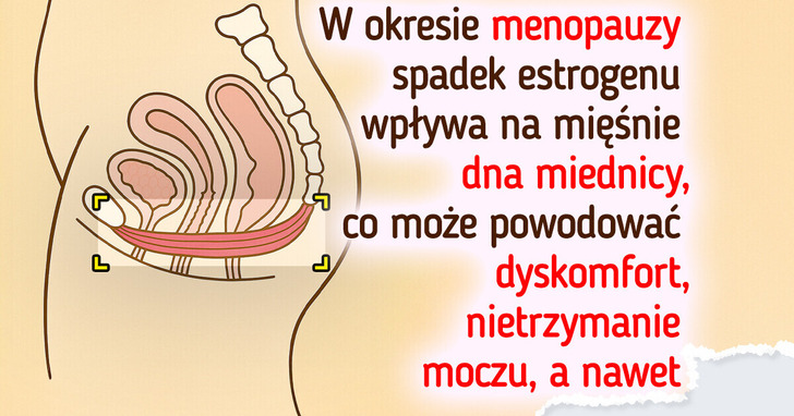 7 faktów o dnie miednicy, które powinna poznać każda kobieta