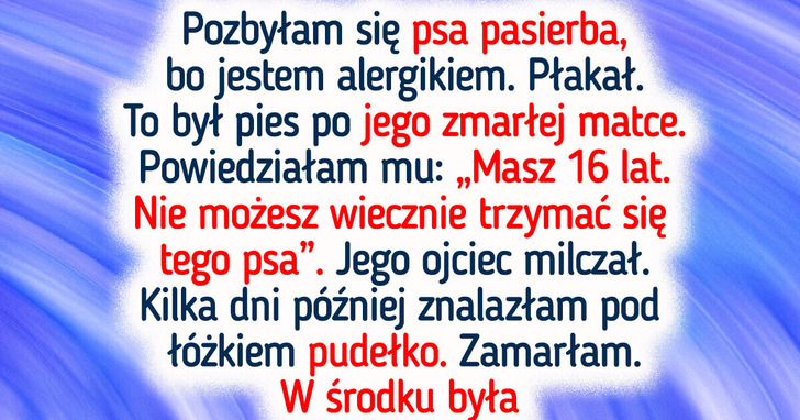16 historii, w których jeden dobry uczynek poruszył cały świat