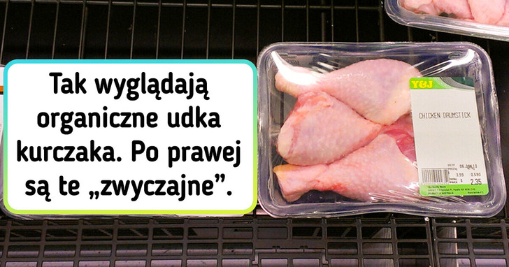 17 zdjęć pokazujących różnice między pozornie podobnymi rzeczami