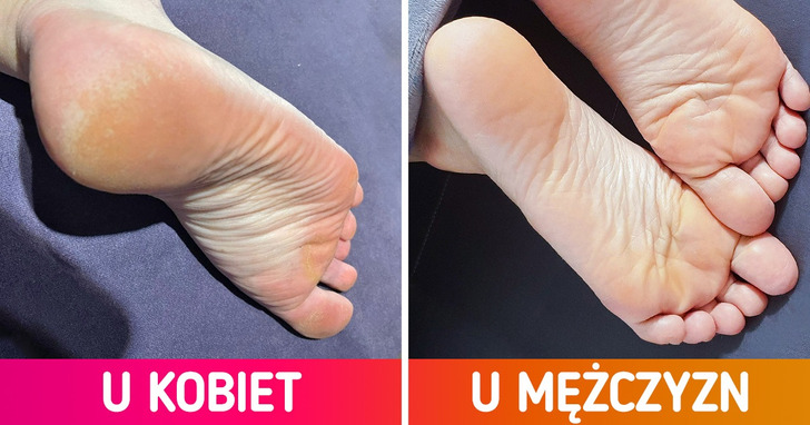 9 różnic między mężczyznami i kobietami, które mają wyjątkowo zaskakujące wyjaśnienie