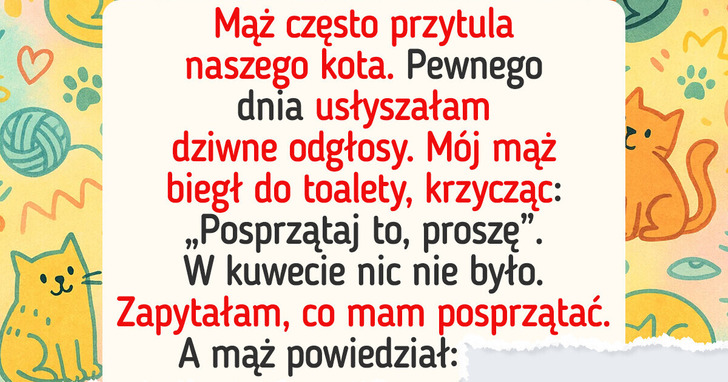 24 dowody na to, iż właściciele kotów są szczęściarzami