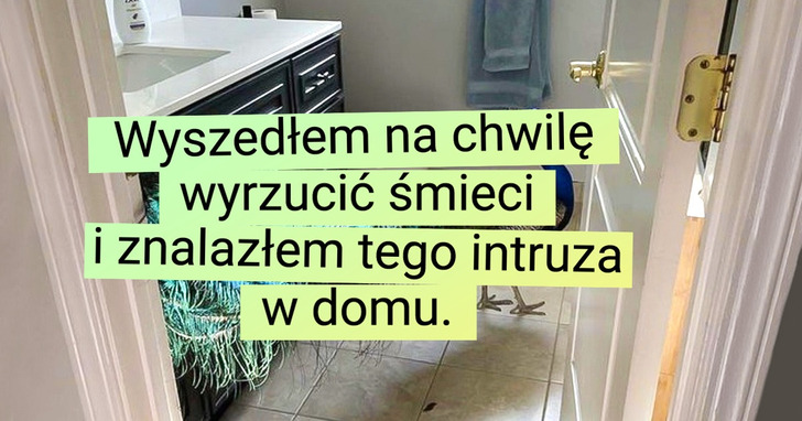 16 zdjęć, które udowadniają, iż świat realny jest dziwniejszy niż fikcja