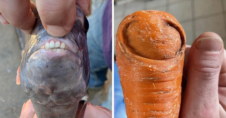 16 zdjęć, które pokazują niesamowitą kreatywność natury