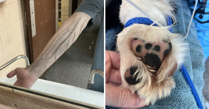 15+ zdjęć, które sprawią, iż pomyślisz: „Co tu się właśnie wydarzyło?”