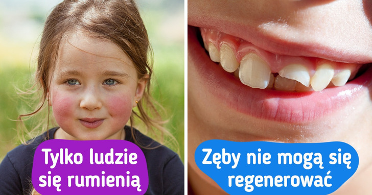 12 sekretów, które skrywa przed nami świat