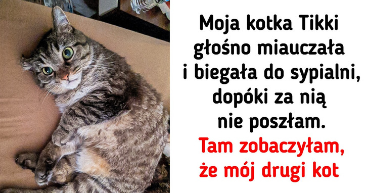 18 odpowiedzialnych zwierzaków, które mają największe serca na świecie