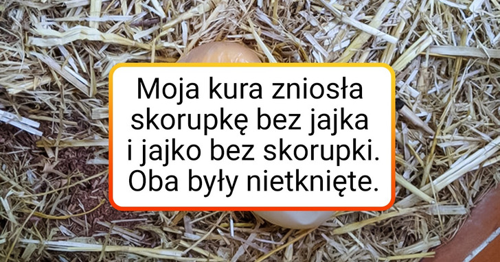 15 zdjęć, które dowodzą, iż świat wciąż jest pełen cudów