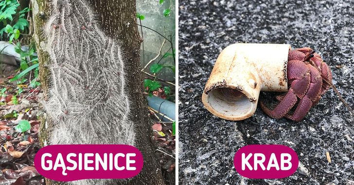 18 zdjęć ukazujących naturę w niecodziennym wydaniu