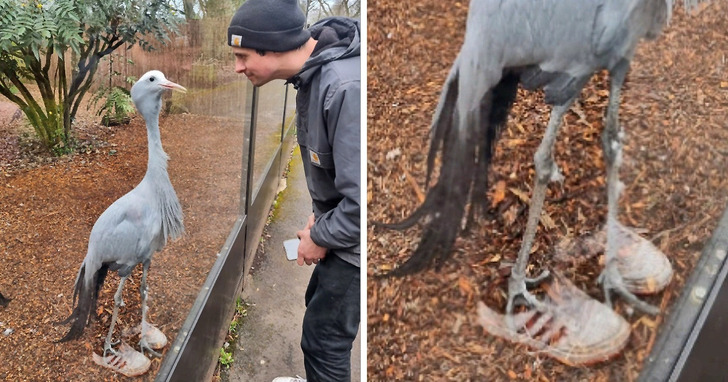 15 zdjęć, którym trzeba się dokładnie przyjrzeć, a ujawnią głębszą prawdę