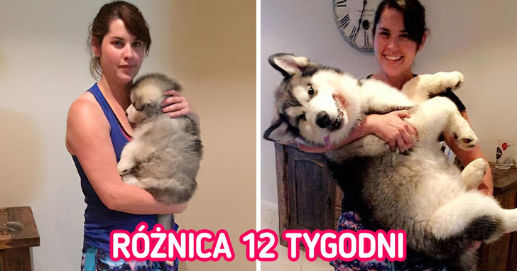 10 małych puszystych słodziaków, które wyrosły na wielkie piękności