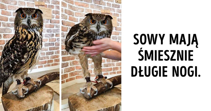 16 zdjęć, które pokazują, jak działa świat