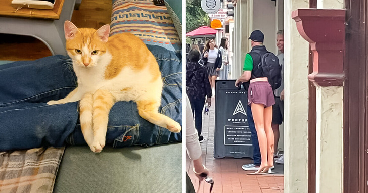 15 zaskakujących zdjęć, które pokazują, iż perspektywa to klucz