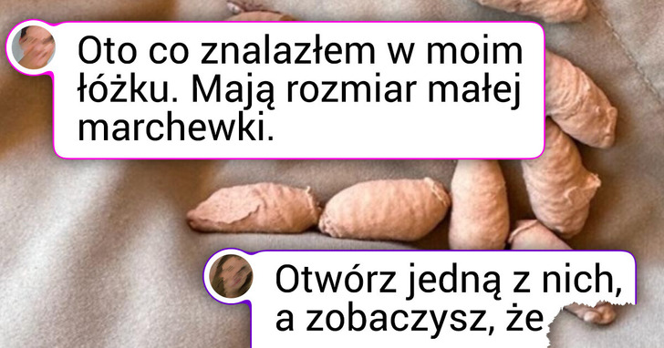 19 dowodów na to, iż lato to nie tylko piasek i morze, ale także cała masa niespodzianek
