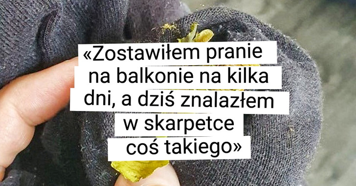 15 sytuacji, w których ludzie o czymś zapomnieli i bardzo się zdziwili, gdy to znaleźli