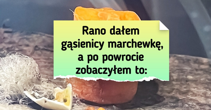 18 osób, które dokonały małych odkryć, a ich świat już nigdy nie będzie taki sam