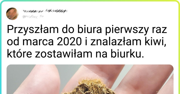 20 niebywałych znalezisk, dzięki którym każdy może poczuć się jak prawdziwy odkrywca