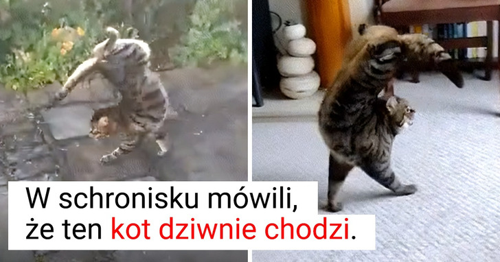 15 zwierząt, które przybyły chyba z kosmosu, bo choćby właściciele nie potrafią ich rozszyfrować