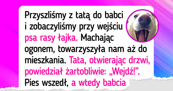 22 zwierzaki, którym po latach udało się odnaleźć swoich właścicieli