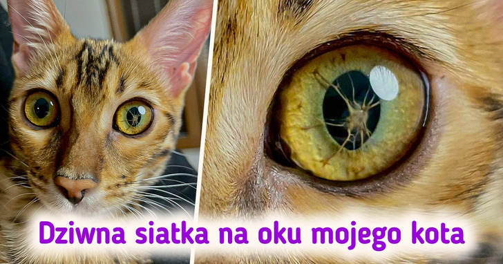 18 zjawisk, które wprawią cię w kompletne osłupienie