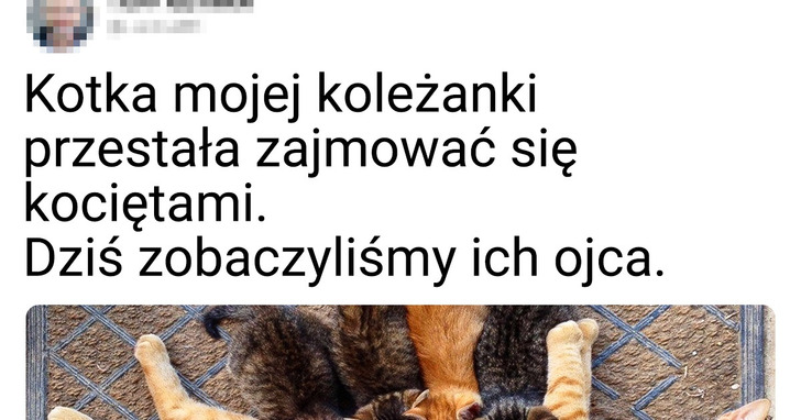 22 zwierzaki o wielkim sercu, które zawsze są skore do pomocy