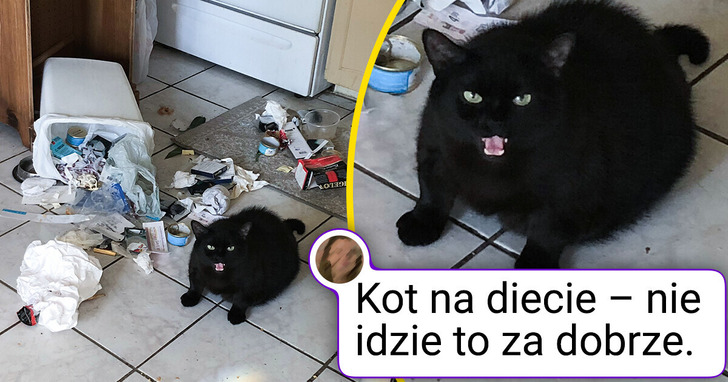24 urocze zwierzaki, które natychmiast poprawią ci humor i rozgrzeją serce