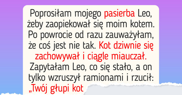 Mój pasierb miał tylko przypilnować kota, a skończyło się wielką awanturą