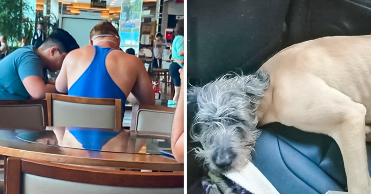 15 zagadkowych zdjęć, którym trzeba dokładnie się przyjrzeć