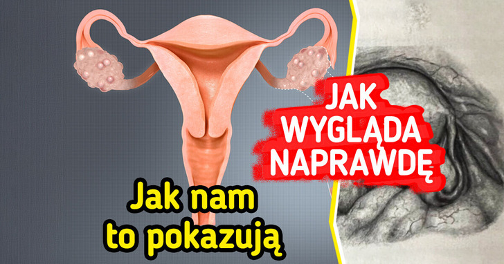 10 mało znanych i niesamowitych faktów o ludzkim ciele