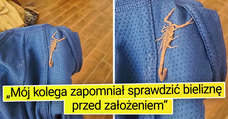 18 osób, którym los zrobił śmieszny żart