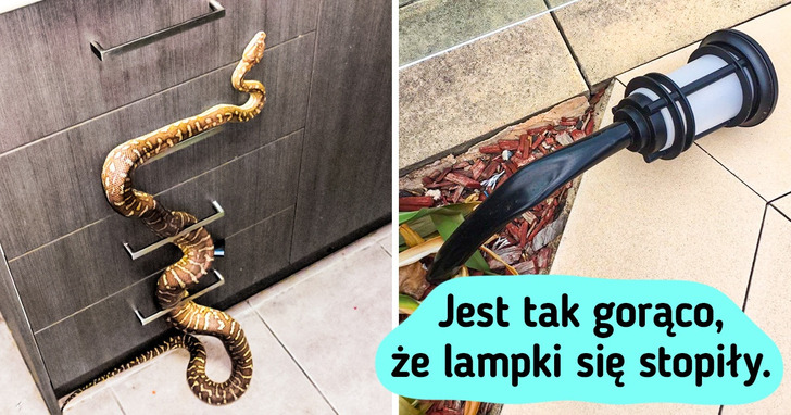 19 zdjęć na dowód, iż trzeba mieć odwagę, żeby mieszkać w Australii