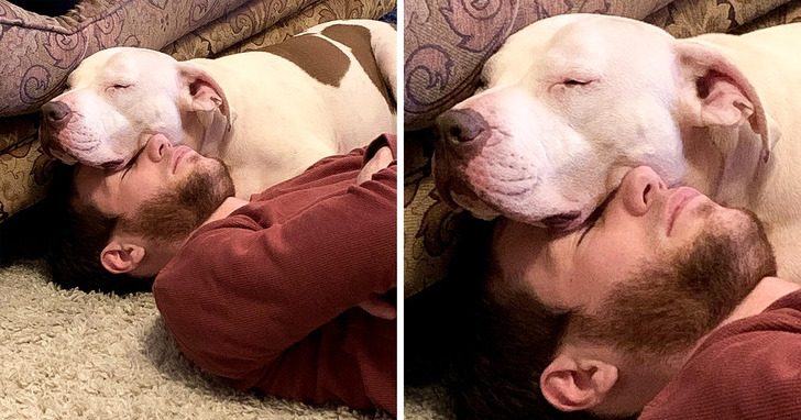 16 zdjęć, które udowadniają, iż zwierzęta darzą nas najszczerszą miłością