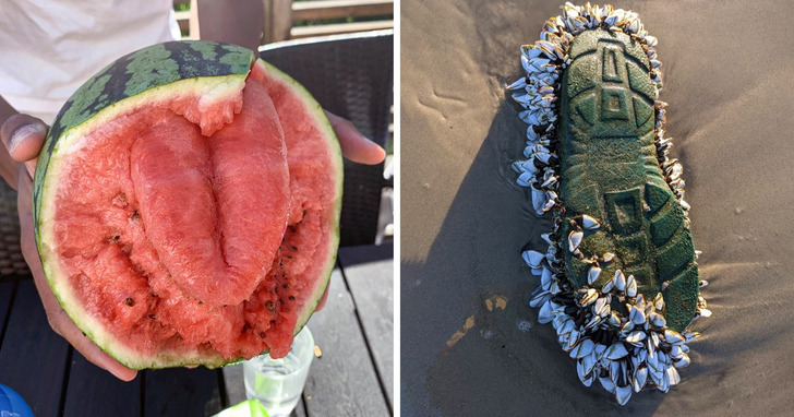 18 zdjęć, które udowadniają, iż natura zawsze potrafi zaskoczyć nas czymś nowym