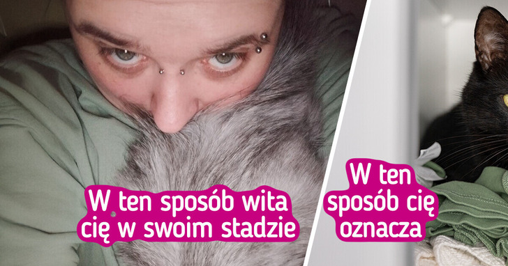 11 oznak, iż twój pupil uwielbia twoje towarzystwo