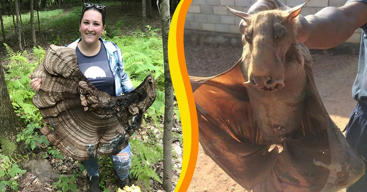 20 zdjęć, które udowadniają, iż natura zawsze skrywa coś pięknego