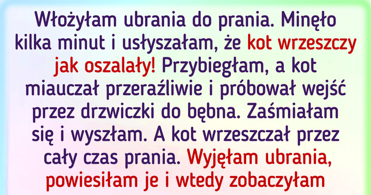 18 osób, które przekonały się, iż życie jest pełne nieoczekiwanych zwrotów zdarzeń