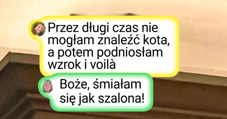 25 zabawnych zdjęć pod hasłem „Znajdź zwierzaka”