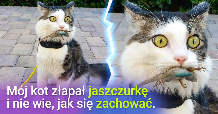 15 zwierzaków, które są bardziej ekspresywne niż niejeden człowiek