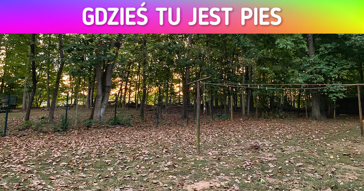 TEST: Znajdź ukryte elementy na zdjęciach i udowodnij, iż nic ci nie umknie