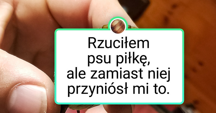 19 uroczych zwierzaków, dla których najważniejsi są opiekunowie