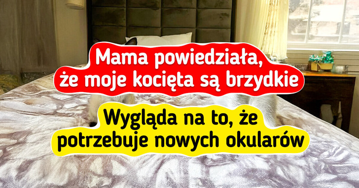 34 zdjęcia uroczych kotków, które poprawią ci humor