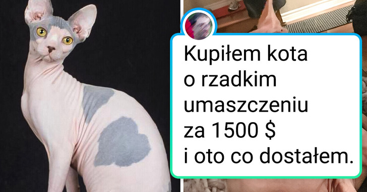 17 par zdjęć, które świetnie pokazują, jak te same rzeczy mogą się różnić