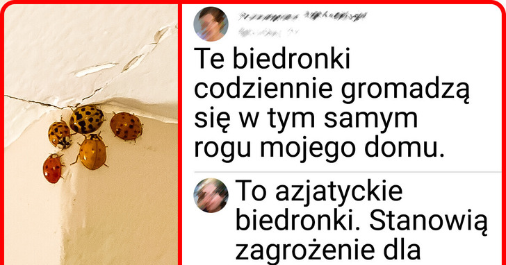 Ponad 20 zdjęć, których autorzy byli całkowicie oszołomieni tym, co zobaczyli