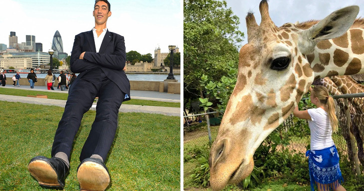 20 zdjęć, które sprawią, iż zaczniesz jeszcze bardziej kwestionować rzeczywistość