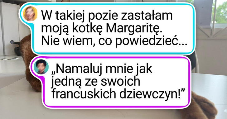 25 zdjęć, które udowadniają, iż koty muszą pochodzić z innej planety
