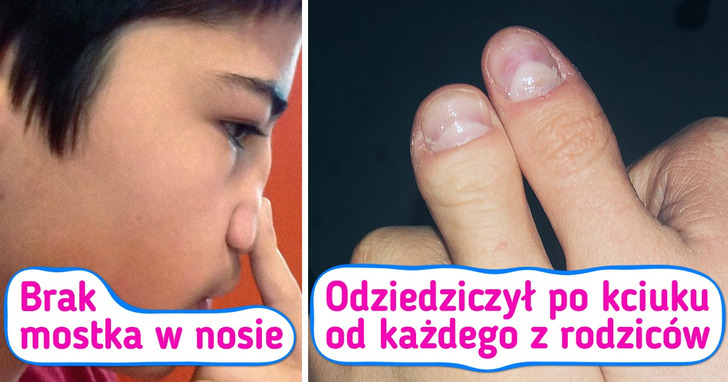 17 zdjęć, w które trudno było nam uwierzyć